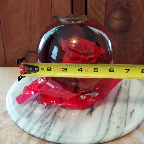 Forever Rose - Picture 6 of 11